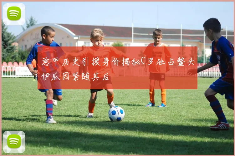 意甲历史引援身价揭秘C罗独占鳌头伊瓜因紧随其后