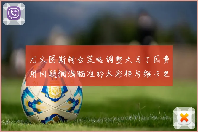尤文图斯转会策略调整大马丁因费用问题搁浅瞄准铃木彩艳与维卡里奥